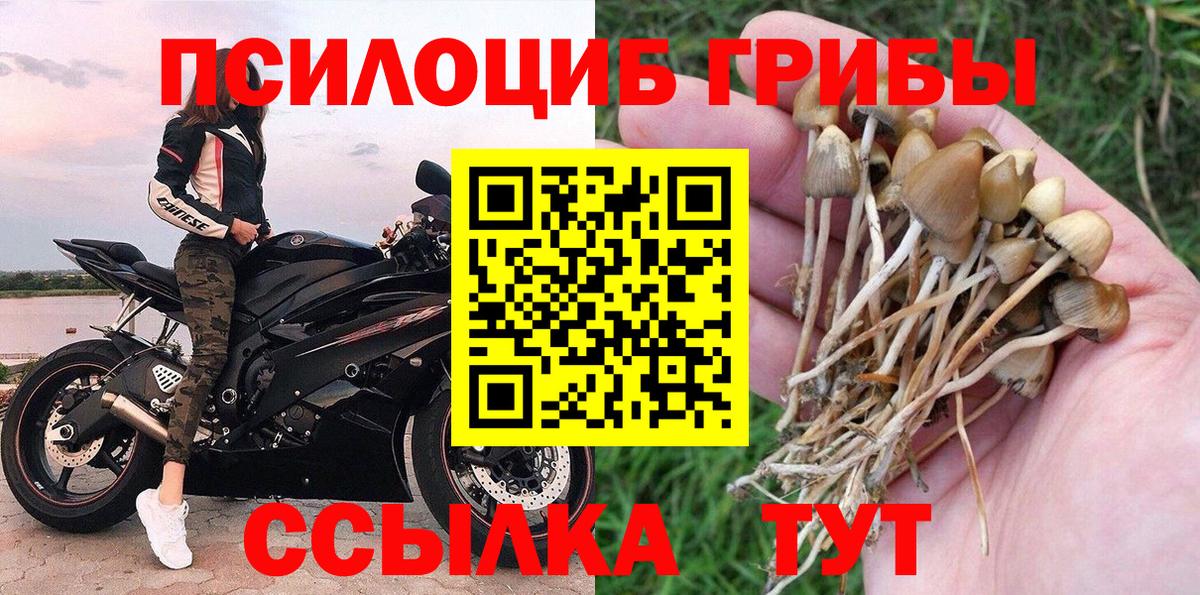 Галлюциногенные грибы Cubensis  где продают наркотики  Новосибирск  Псилоцибиновые грибы Magic Shrooms  Вход с VPN 