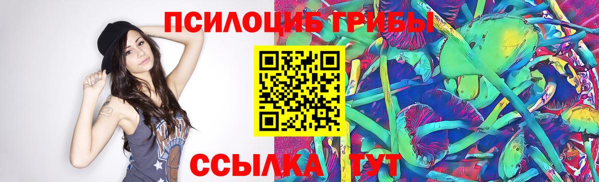 Псилоцибиновые грибы Magic Shrooms Новосибирск